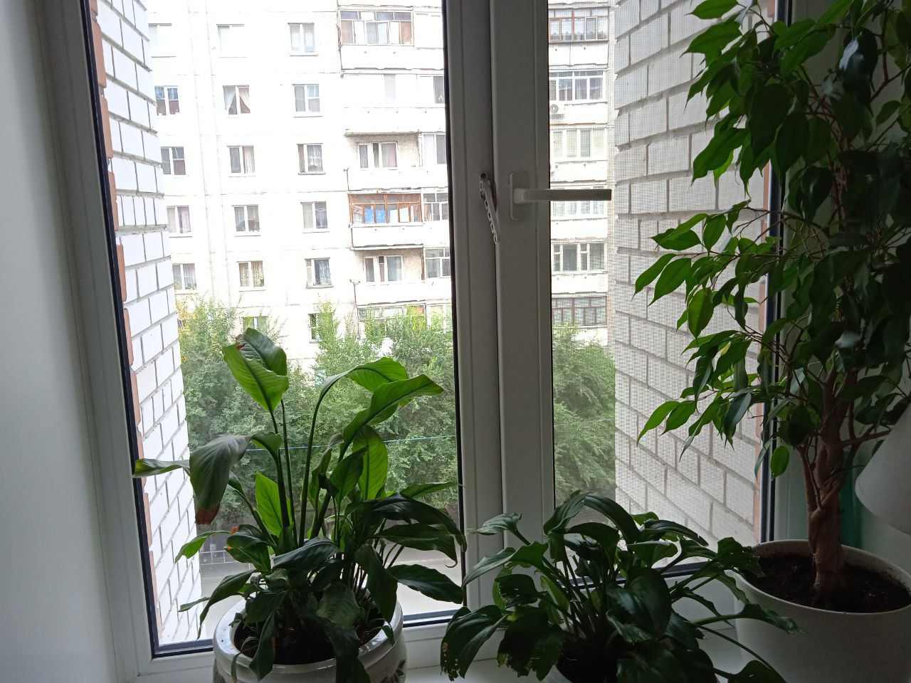 https://voronezh.delaem-okna.ru/storage/app/uploads/public/63f/332/8c0/63f3328c0d6f7867060515.jpg